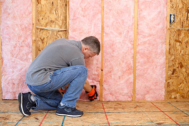 Best Insulation Maintenance and Repair in Beacon Square, FL